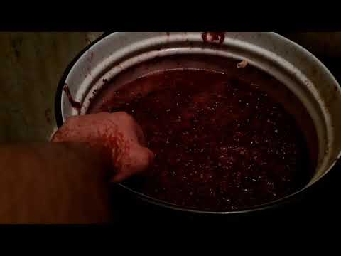 Видео: Вино из йошты в домашних условиях бабушкин рецепт старинный рецепт очень вкусного вина часть 1