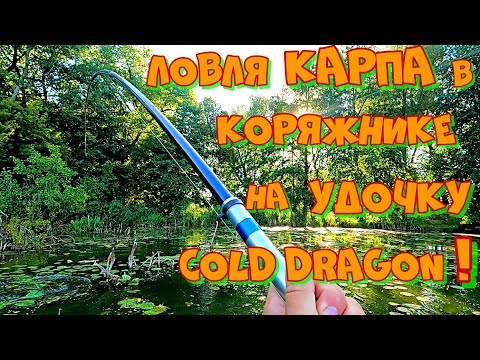 Видео: Нашел БОЛЬШОГО КАРПА в КОРЯЖНИКЕ ! ТЕСТИРУЮ Новую ОСНАСТКУ в Зарослях Кувшинки .