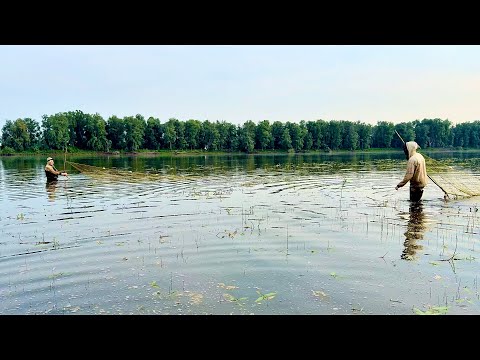 Видео: НАЛОВИЛИ ЩУК НЕВОДОМ! УДАЧНО ПРОЦЕДИЛИ ВОДОЕМ! РЫБАЛКА УДАЛАСЬ. #невод #рыбалка #лайк