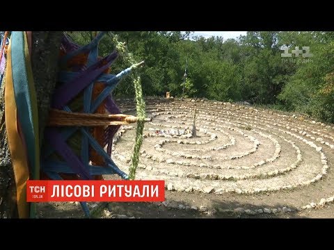 Видео: Жахи у лісі: селяни знайшли дивне поселення з лабіринтами та ляльками-мотанками