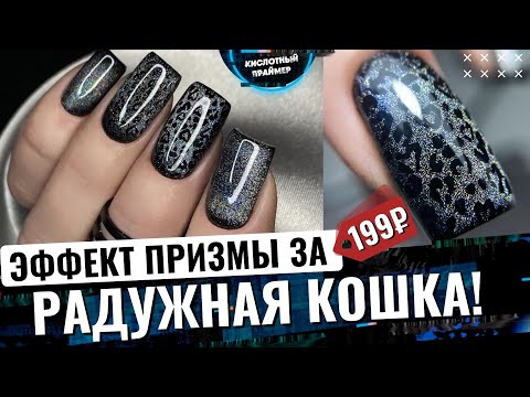 Видео: НОВИНКА!💥 Дизайн КОШАЧИЙ ГЛАЗ АВРОРА ПРИЗМА!💣😻 Радужная кошка на ногтях🔥 ГРИФОЗНЫЕ ногти!😩