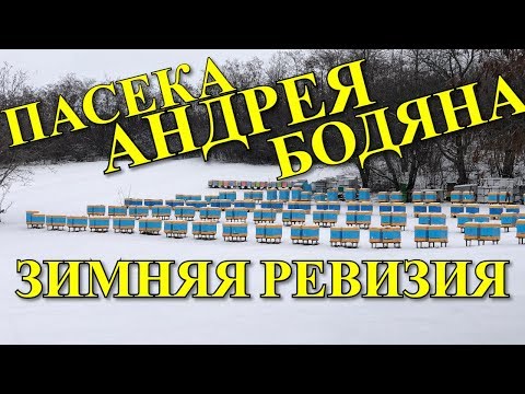 Видео: Зимняя ревизия на пасеке Андрея Бодяна. Молдова / FABRO