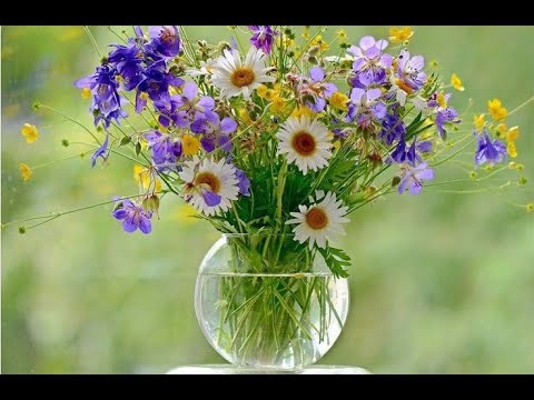 Видео: 🔝 ХуДоЖнИкИ | Живопись | Рисуем вместе | Полевые цветы | Татьяна Мацик