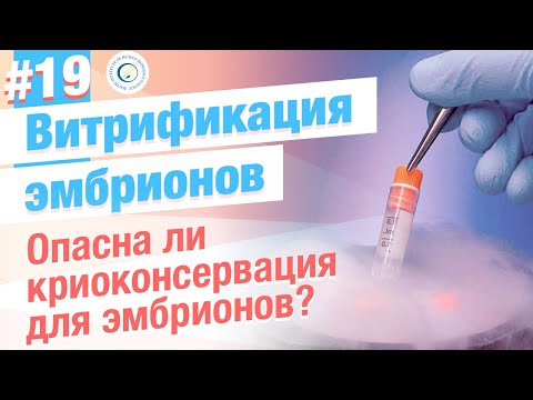 Видео: Как эмбрионы переносят заморозку после ЭКО? Витрификация что это?