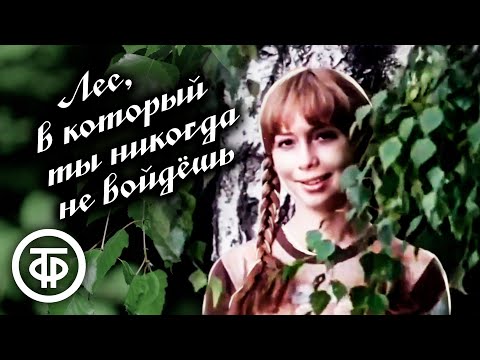 Видео: Лес, в который ты никогда не войдешь. Художественный фильм (1978)