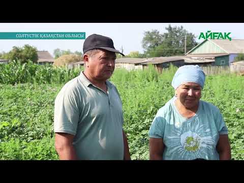 Видео: ТЕРІСКЕЙГЕ ЖОРЫҚ