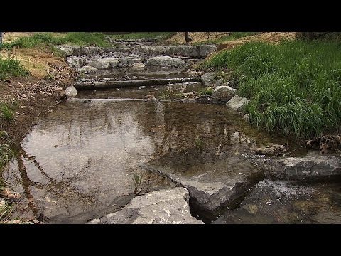 Видео: Восстановление природных водотоков: Восстановление водотоков (часть III)