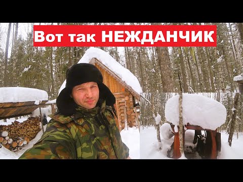 Видео: Приехал в избу с ночевкой,а она занята. Добрался до схрона металлолома. Неожиданная находка в лесу.