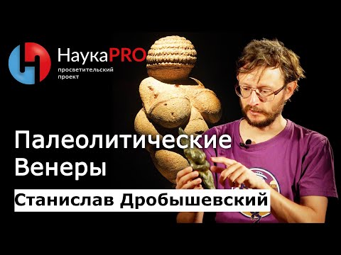 Видео: Палеолитические Венеры | Лекции по антропологии – антрополог Станислав Дробышевский | Научпоп
