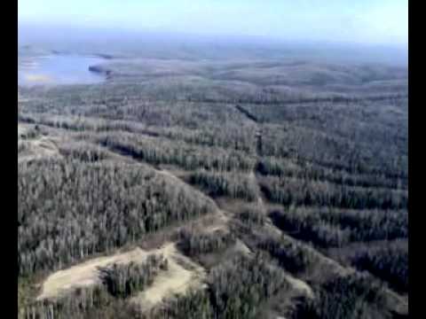 Видео: Из Приобья в Андру на вертолёте (весна 2010)