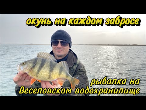 Видео: Рыбалка на Веселовском водохранилище. Крупный окунь на каждом забросе. 16-17 марта 2024.