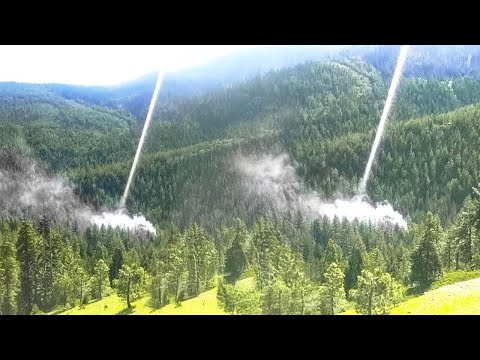 Видео: Прекратите Сажать Деревья!