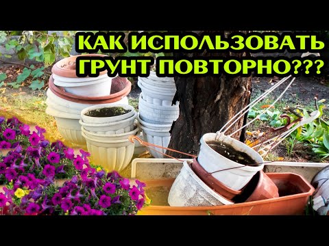 Видео: Петунии и др. Как поступить с использованным грунтом?