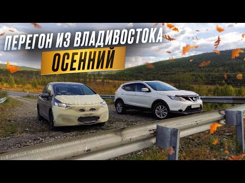Видео: Успеть до НАВОДНЕНИЯ. Перегон из Владивостока.