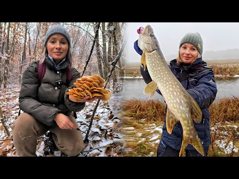 Видео: ПОКИНУЛА ЧОЛОВІКА - Я ВСЕ ЗМОЖУ САМА! ЗИМОВІ ГРИБИ! Ловля щуки на спінінг