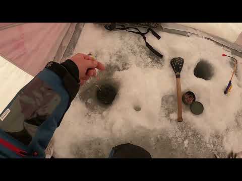 Видео: Зимняя рыбалка. Корюшка Финского Залива. Маяк Толбухин.