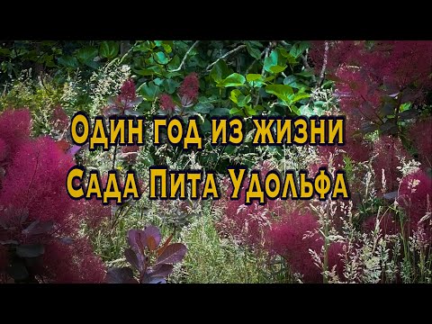 Видео: Vlog 524 - Сад Пита Удольфа - полный цикл от планирования до зрелости.