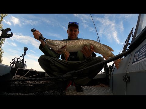 Видео: Ловля щуки на реке. Отменные поклевки. Как пользоваться электромотором SEA-PRO!