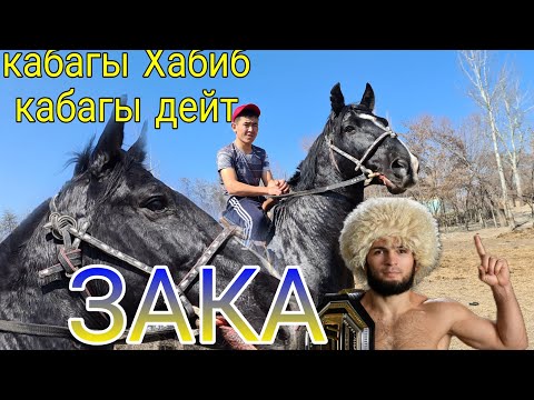 Видео: ЗАКА суунун пайдасын айтты "СҮЛҮК  КАШКА" 04.03.2022