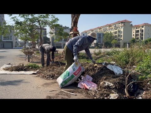 Видео: Уборка защищает сообщества от гниющего мусора и инвазивных сорняков