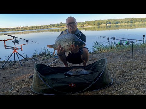 Видео: ЧАПАИ, ДОБРОПОЛЬЕ, РИБАЛКА, ПЛАТНИК  - 27.06.2024