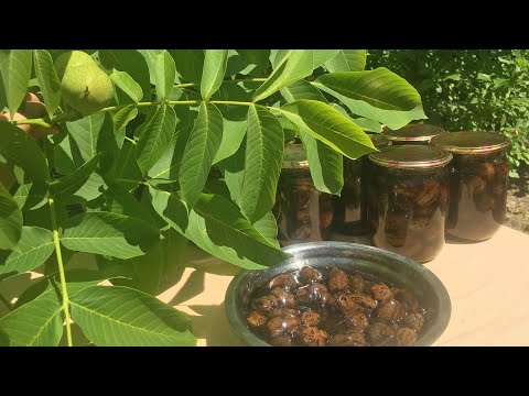 Видео: Ореховое варенье - самый правильный рецепт