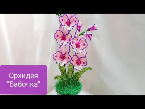 Видео: 🦋Орхидея Бабочка из бисера мастер класс./Orchid Butterfly from beads master class.