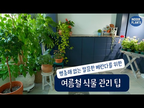 Видео: Советы по летнему уходу за растениями для чистой веранды без вредителей