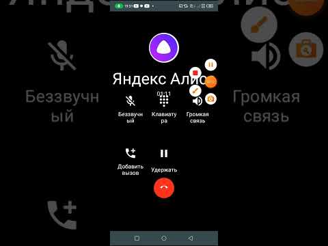 Видео: ЯНДЕКС АЛИСА ПЕРЕЕХАЛА В ПИТЕР!!!