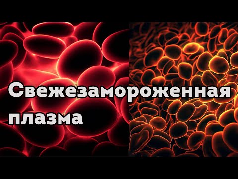 Видео: Свежезамороженная плазма крови