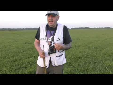 Видео: 2. НАТАСКА ЛЕГАВЫХ / КАПРИЗНАЯ СОБАКА