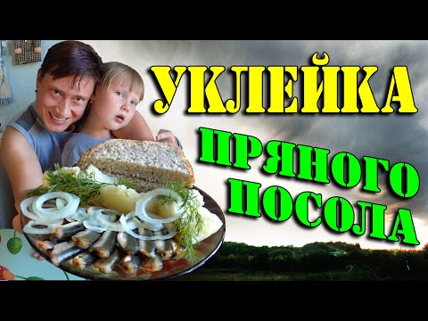 Видео: Уклейка пряного посола. Уклейка вкуснее чем килька. Рецепт вкуснейшей уклейки.