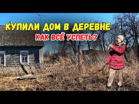 Видео: КУПИЛИ ДОМ В ДЕРЕВНЕ | РАСЧИЩАЕМ УЧАСТОК | ПЕРЕЕЗД ИЗ МОСКВЫ В ДЕРЕВНЮ | БРЯНСКАЯ ОБЛАСТЬ