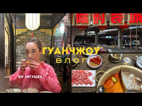 Видео: ГУАНЧЖОУ ВЛОГ: хочу попробовать змею, ем лягушек, неудавшаяся прогулка, лучшая пекарня города