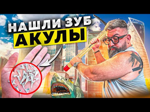 Видео: ПАЛЕОНТОЛОГИЧЕСКИЕ РАСКОПКИ В ЦЕНТРЕ МОСКВЫ
