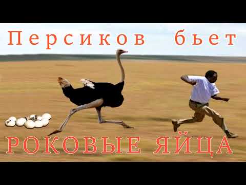 Видео: Авторы: Наталья Рамирес и моряк Андрей.