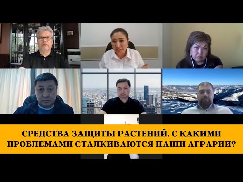 Видео: Средства защиты растений. С какими проблемами сталкиваются наши аграрии?