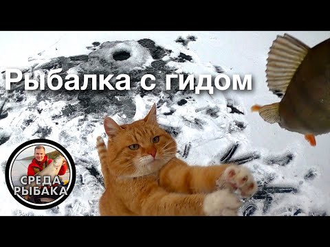 Видео: ПЕРВЫЙ ЛЕД! Зимняя рыбалка с КОТОМ на деревенском пруду | Ловля  на мормышку! 2021
