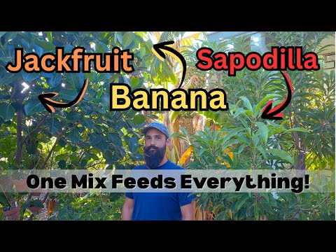 Видео: Мы удобряем всё одинаково — и это работает!