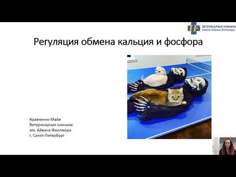 Видео: Регуляция обмена кальция и фосфора. Нарушения кальциевого обмена