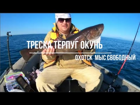 Видео: Сахалинская рыбалка Охотское море