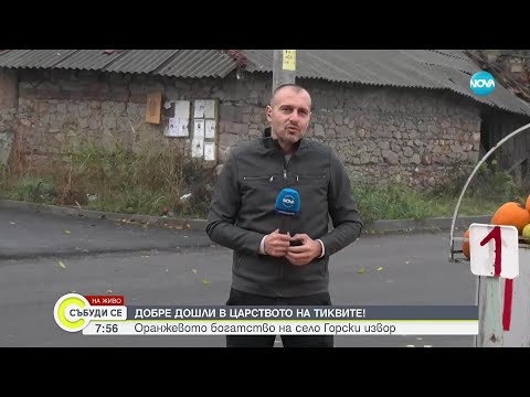 Видео: Село Горски извор – царството на тиквите