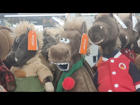 Видео: Как ченнелер получает информацию!