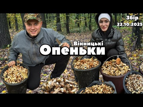 Видео: МОРЕ ОПЕНЬОК на Вінниччині!!!