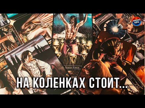 Видео: ТЫ ЕГО ПОСТАВИЛА НА КОЛЕНИ! И..СБИЛА КОРОНУ!