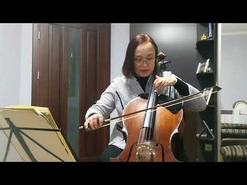 Видео: Ставка на виолончели/особенности применения