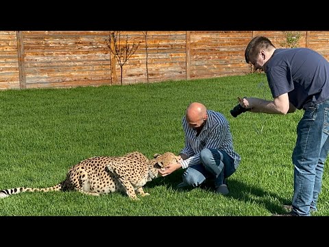 Видео: Герда не была настроена общаться с журналистами и постоянно уходила от нас.