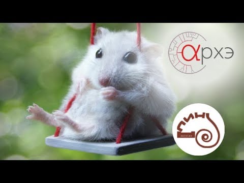 Видео: Александр Кузнецов: По следам четвероногих