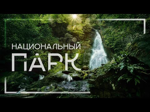 Видео: ГРУЗИЯ | Батуми - куда поехать на один день? Стоит ли ехать в парк Мтирала?