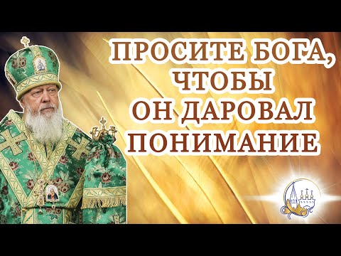 Видео: Просите Бога, чтобы Он даровал понимание. Притча о сеятеле Мф. 13: 1–9